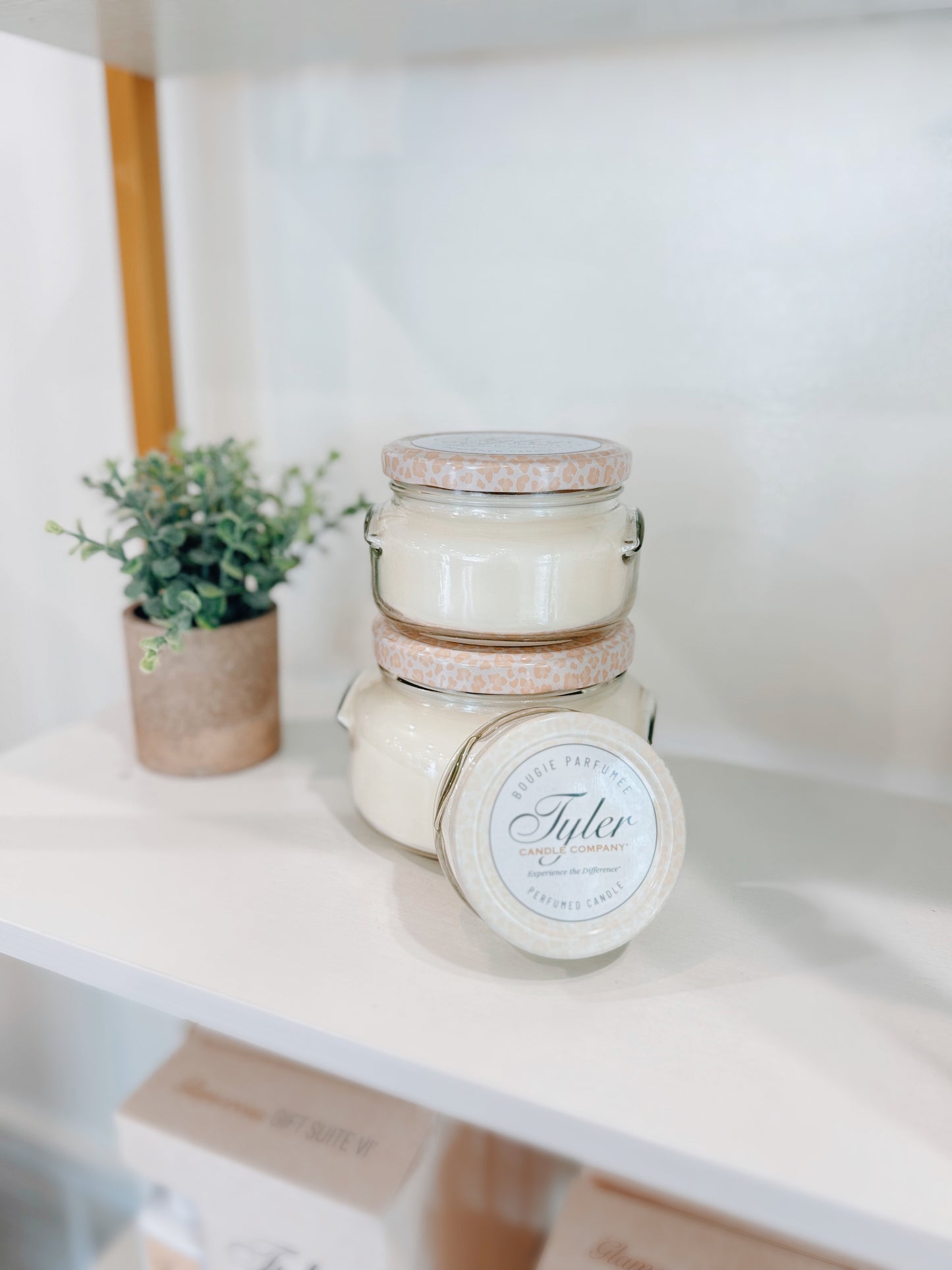 Tyler Candle 11oz Candle - Diva