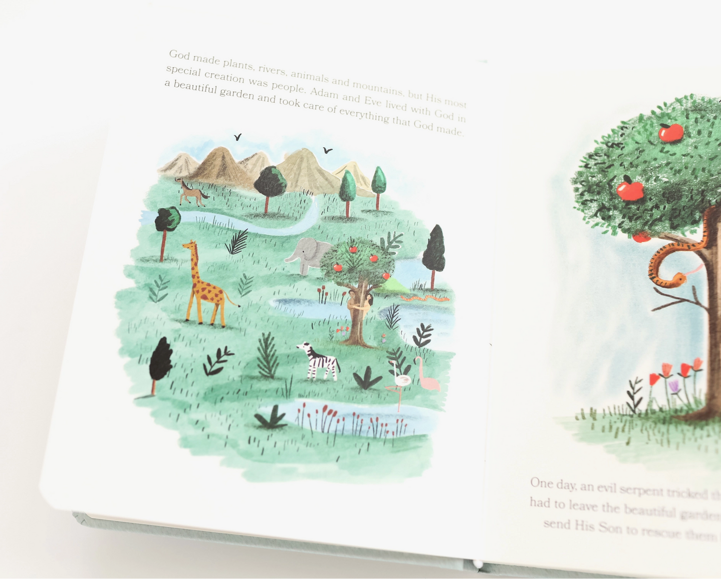 Bible Stories for Little Ones: Baby’s First Bible Board Book