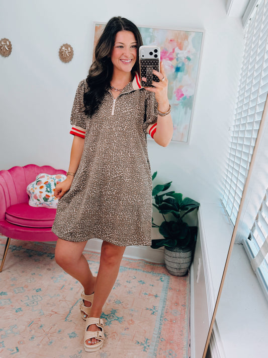Leopard Color Block Mini Dress