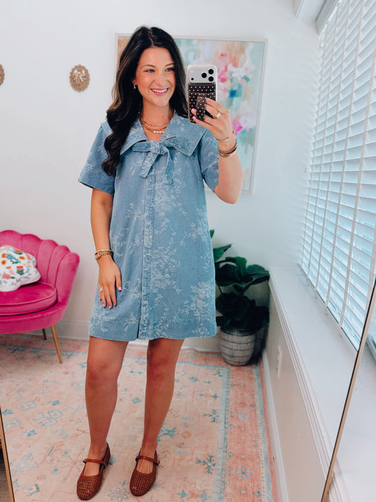 Fable Denim Mini Dress