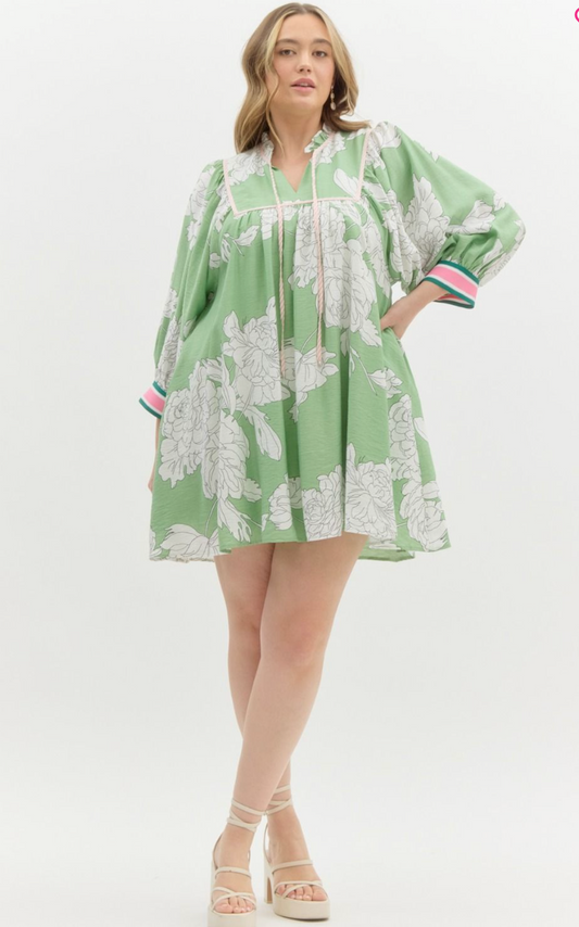 CURVY Tinsley Printed Mini Dress